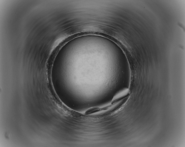 X0000096441022200801311424