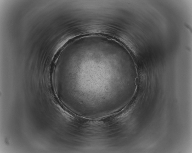 X0000096441023200801311424