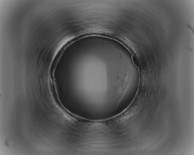 X0000096441024200801311424