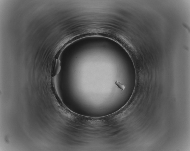 X0000096441025200801311424