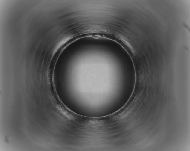 X0000096441026200801311424