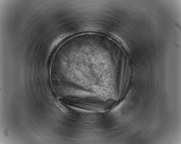 X0000096441027200801311424