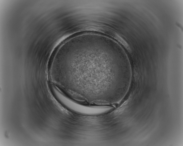 X0000096441028200801311424