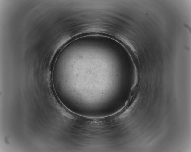 X0000096441029200801311424