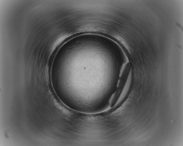 X0000096441030200801311424