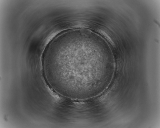 X0000096441031200801311424