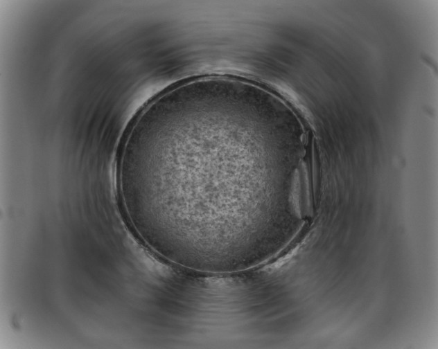 X0000096441032200801311424