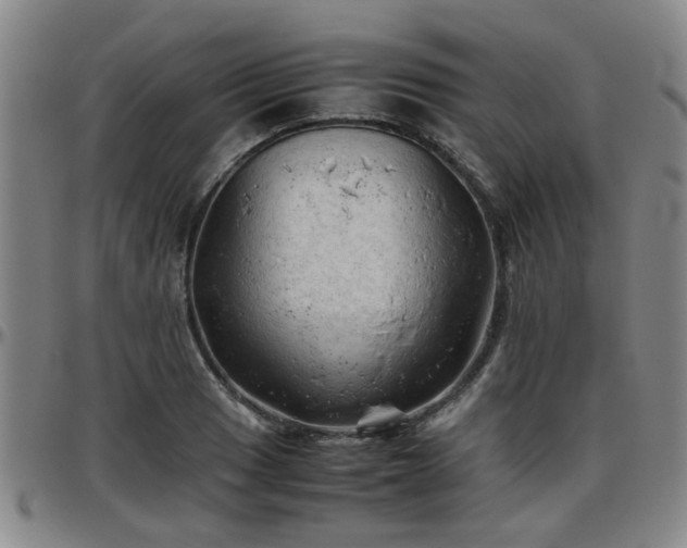 X0000096441033200801311424