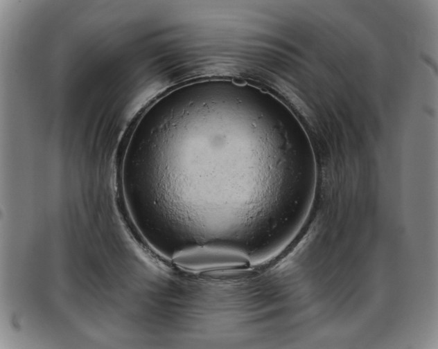 X0000096441034200801311424