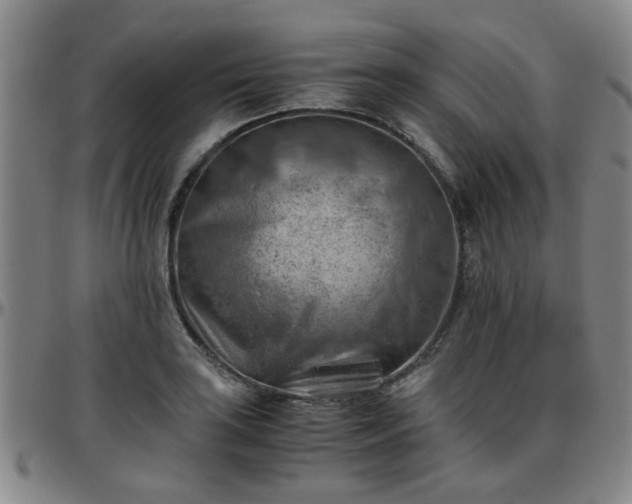 X0000096441035200801311424