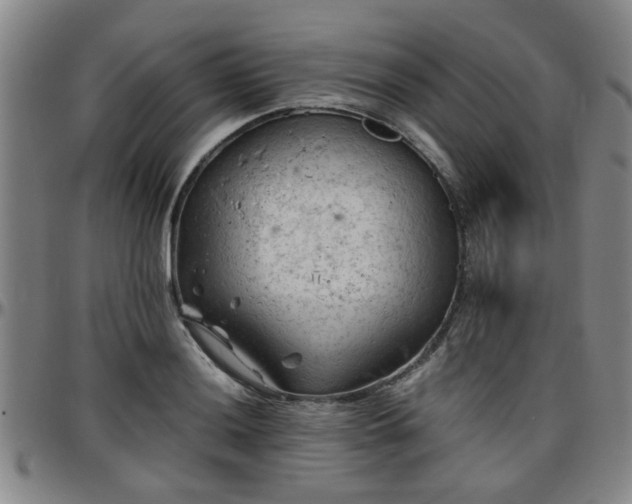 X0000096441036200801311424