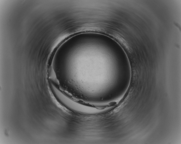 X0000096441038200801311424