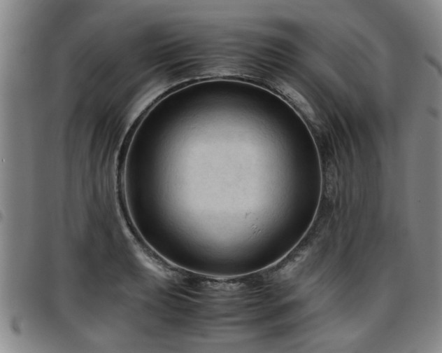 X0000096441039200801311424