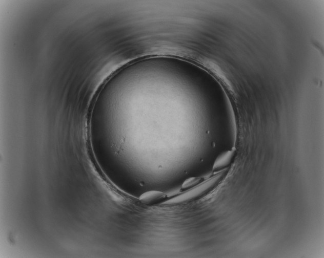 X0000096441040200801311424