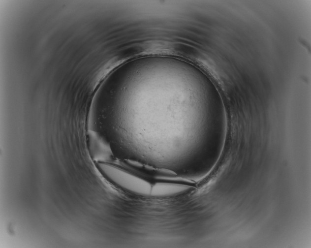 X0000096441041200801311424