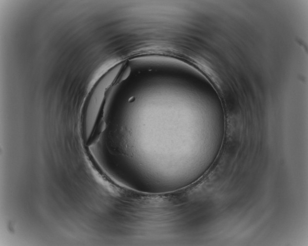 X0000096441042200801311424