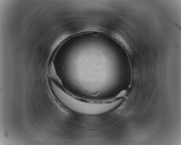 X0000096441043200801311424