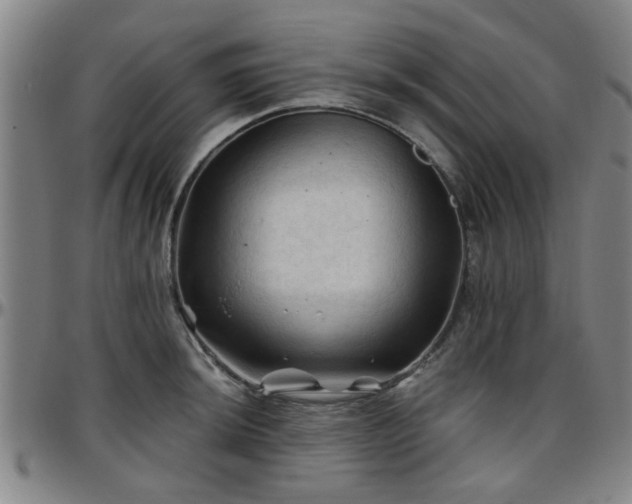 X0000096441044200801311424