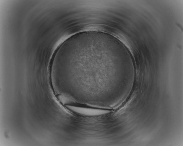 X0000096441045200801311424