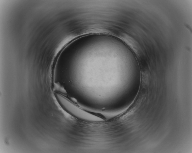 X0000096441046200801311424