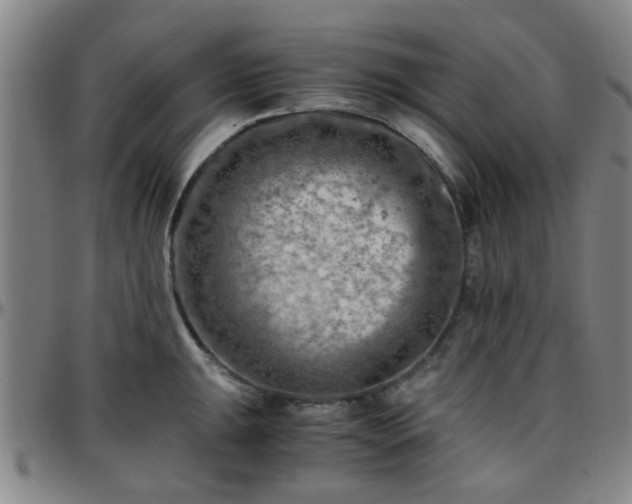 X0000096441047200801311424