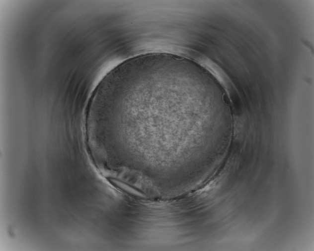 X0000096441048200801311424