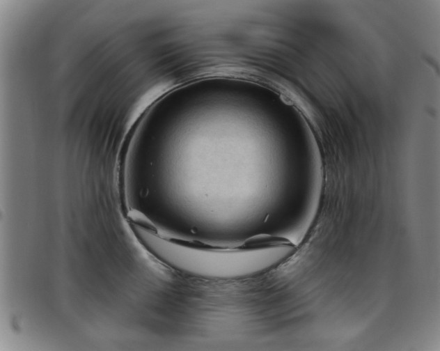 X0000096441050200801311424