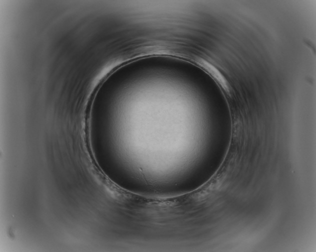 X0000096441051200801311424