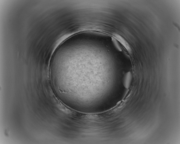 X0000096441052200801311424