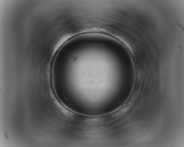 X0000096441054200801311424