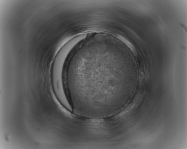 X0000096441055200801311424