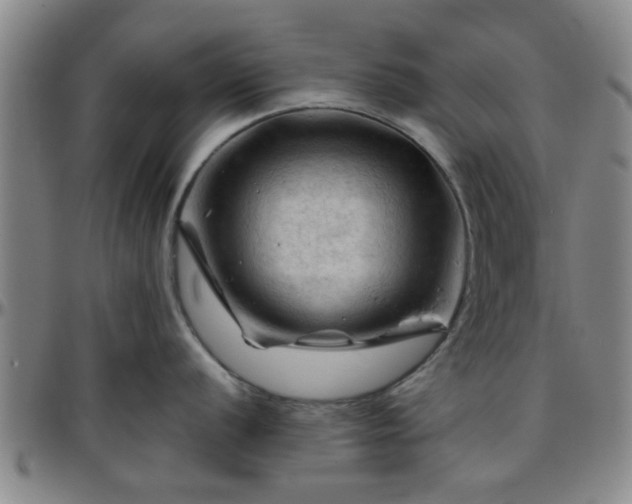 X0000096441056200801311424