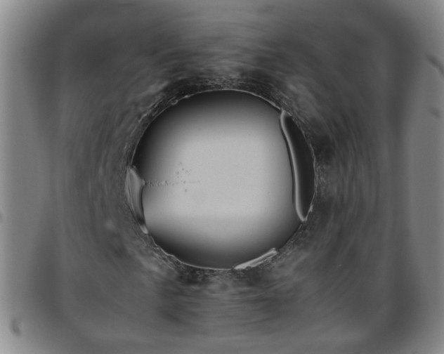 X0000096441057200801311424
