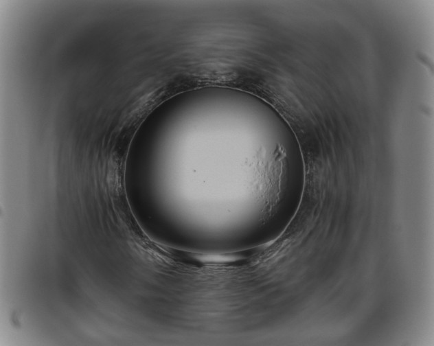 X0000096441058200801311424