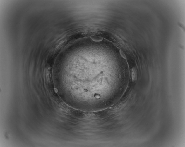 X0000096441059200801311424