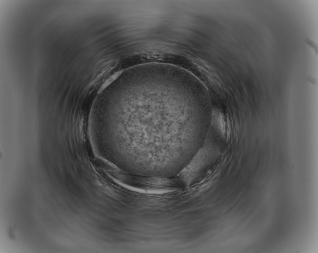 X0000096441060200801311424