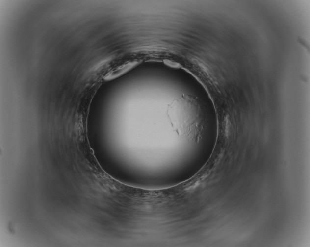 X0000096441062200801311424