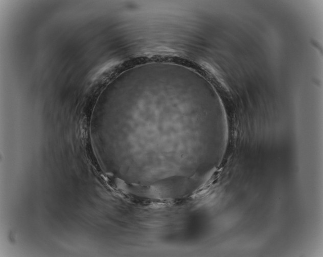 X0000096441063200801311424