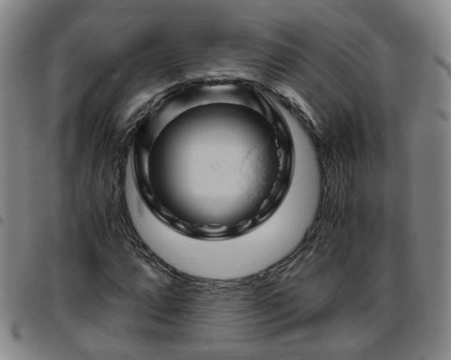 X0000096441064200801311424