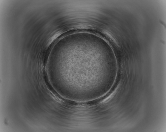 X0000096441065200801311424