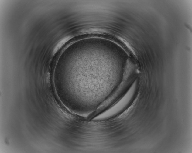 X0000096441066200801311424