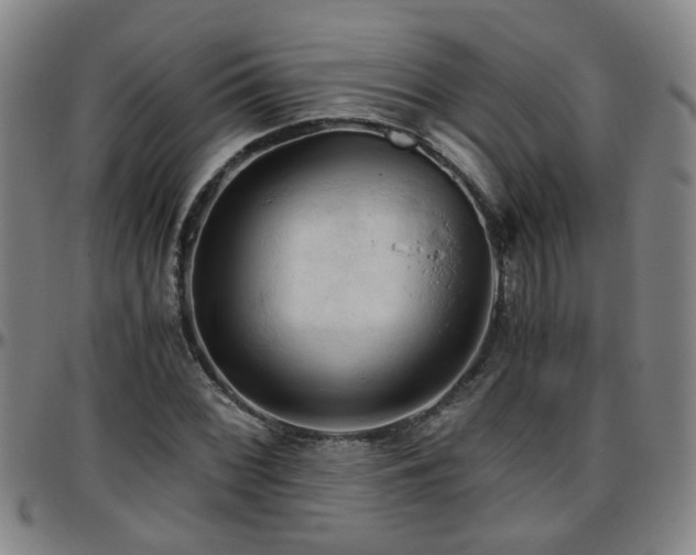 X0000096441068200801311424