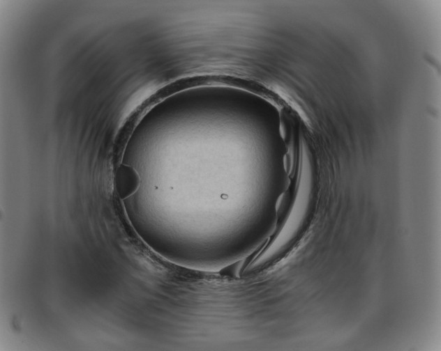 X0000096441069200801311424