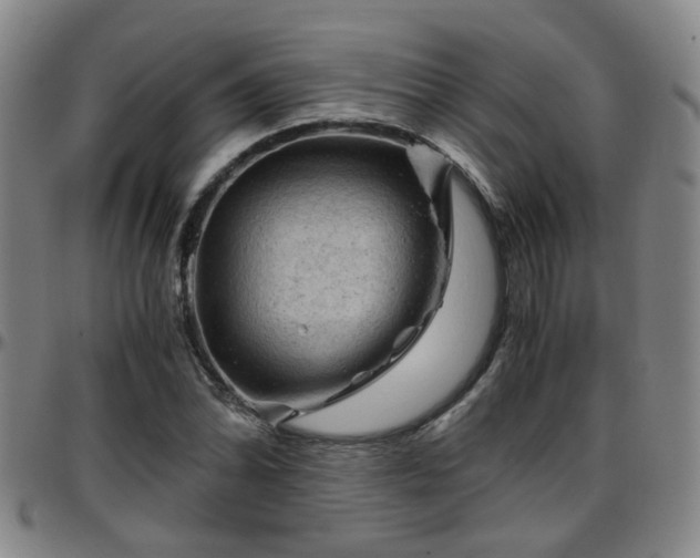 X0000096441070200801311424