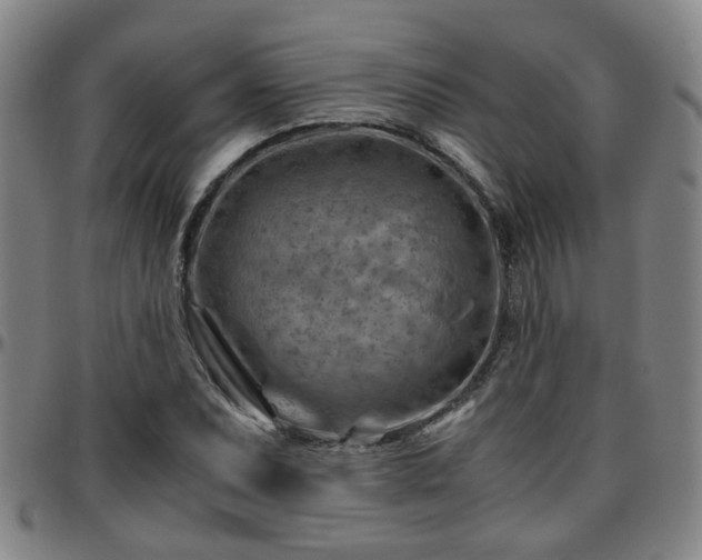 X0000096441071200801311424