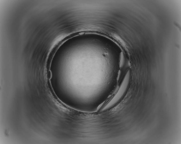 X0000096441072200801311424