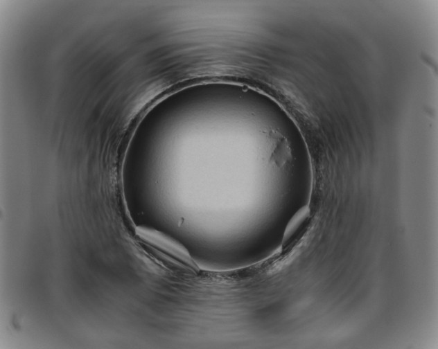 X0000096441073200801311424