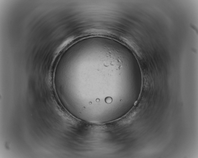 X0000096441074200801311424