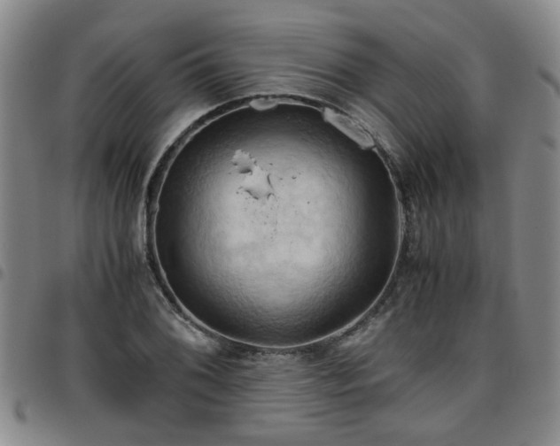 X0000096441076200801311424