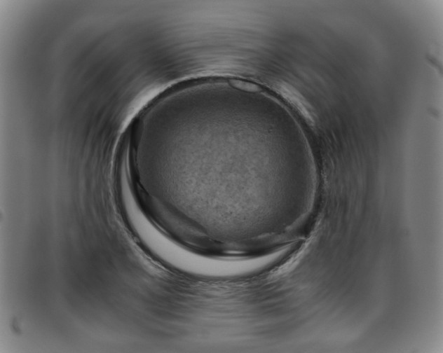 X0000096441077200801311424